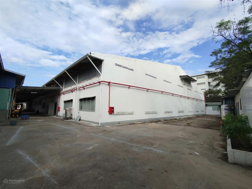 Cho thuê kho, nhà xưởng đẹp tại bình chuẩn, 730 triệu, 9800 m2