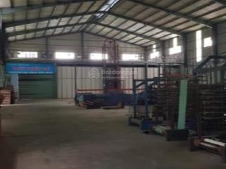 Cho thuê diện tích 1000m2. pccc tự động tại thuận an