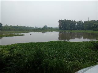 Cần bán mảnh đất 10.000m2 thổ cư và trồng cây lâu năm giá 7.2 tỷ có thương lượng tại tân yên bg