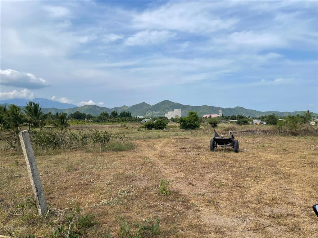 Chỉ 580 triệu sở hữu ngay 319m2 đất ninh thượng  ninh hòa, xây nhà vườn chill chill