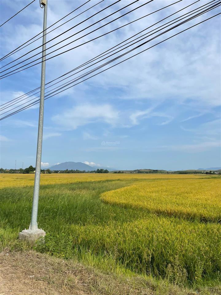 Chỉ 580 triệu sở hữu ngay 319m2 đất ninh thượng  ninh hòa, xây nhà vườn chill chill