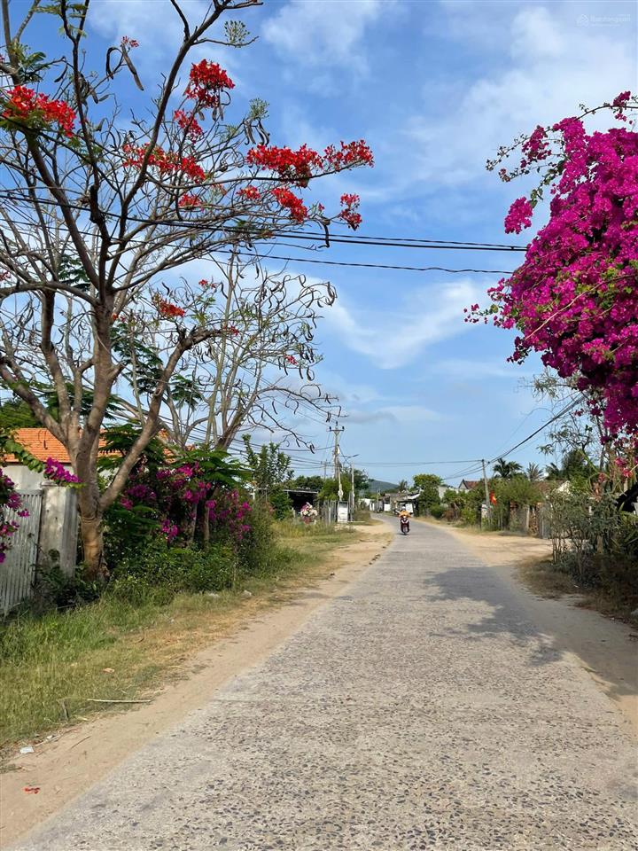 Chỉ 580 triệu sở hữu ngay 319m2 đất ninh thượng  ninh hòa, xây nhà vườn chill chill