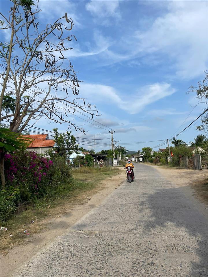 Chỉ 580 triệu sở hữu ngay 319m2 đất ninh thượng  ninh hòa, xây nhà vườn chill chill