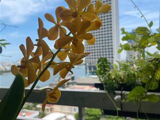 nhan-khach-thang-6-bat-dau-hop-dong-thue-can-ho-3-phong-ngu-tai-da-nang-plaza-hiem-can-view-dep-bds30435840