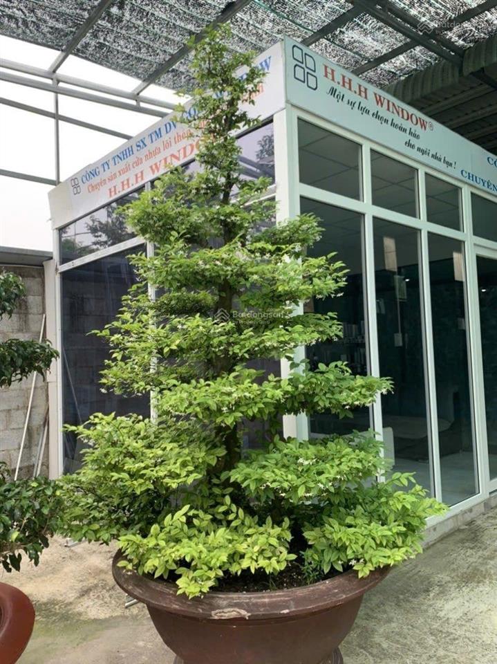 Xưởng tân thông hội củ chi, dt=1661m=1086m, thổ cư hết đất, xưởng xây dựng hết đất,
