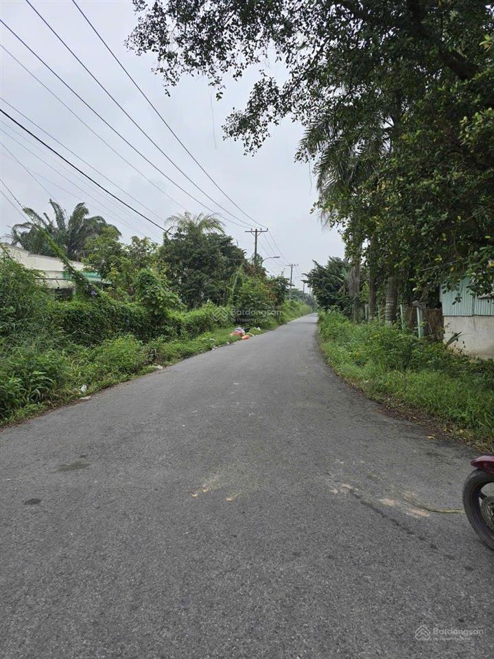 Bán đất 2 mt đường nhựa nguyễn thị rành, gồm 3 lô, tổng 5008m2, có 1432m2 thổ cư giá chỉ có 30 tỷ
