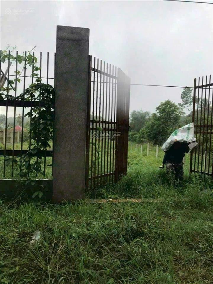 Đất mt đường bến đình, xã an nhơn tây, dt tổng 3 sổ là 4850m2, có 600m2 thổ cư, giá 17 tỷ