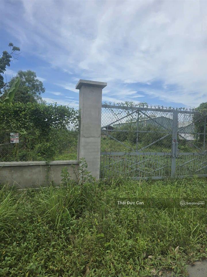 Mặt tiền võ văn điều 3.000m2 giá 16,5 tỷ, dt 16x170m, có 250m thổ cư, đường lớn 10m