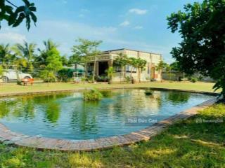 Biệt thự vườn tân thông hội giá chỉ có 15 tỷ dt 3.000m, tc 900m | ngang 40 dài 77m |
