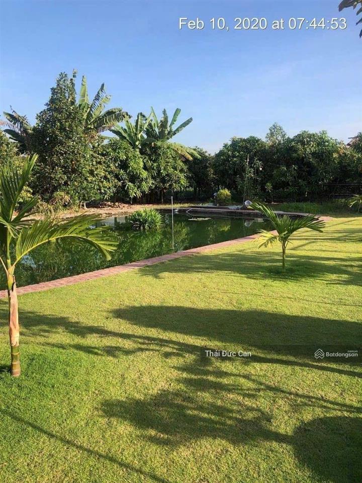 Biệt thự vườn tân thông hội giá chỉ có 14,5 tỷ dt 3.000m, tc 900m | ngang 40 dài 77m |