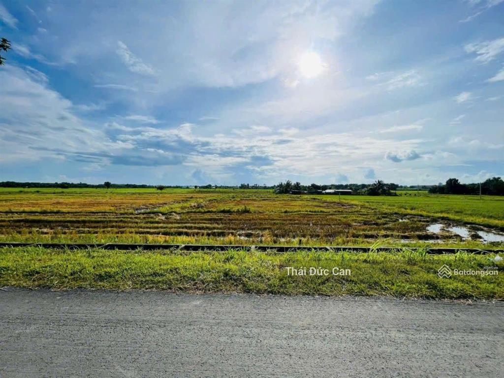 Mặt tiền đường 669 4,500m2, 500m2 thổ cư dt 4,500m2 | ngang dài 30m 133m, nở hậu 52m