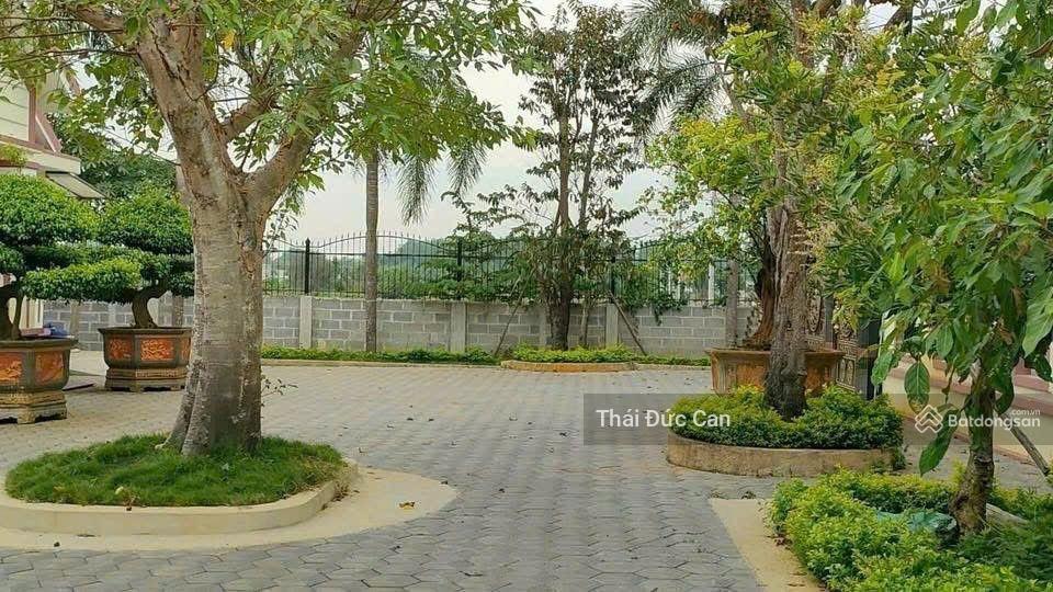 Villa + biệt thự vườn dt=3.000m2 có 300m2 thổ cư. giá chỉ 17,5 tỷ, xã phước vĩnh an, thiết kế đẳng