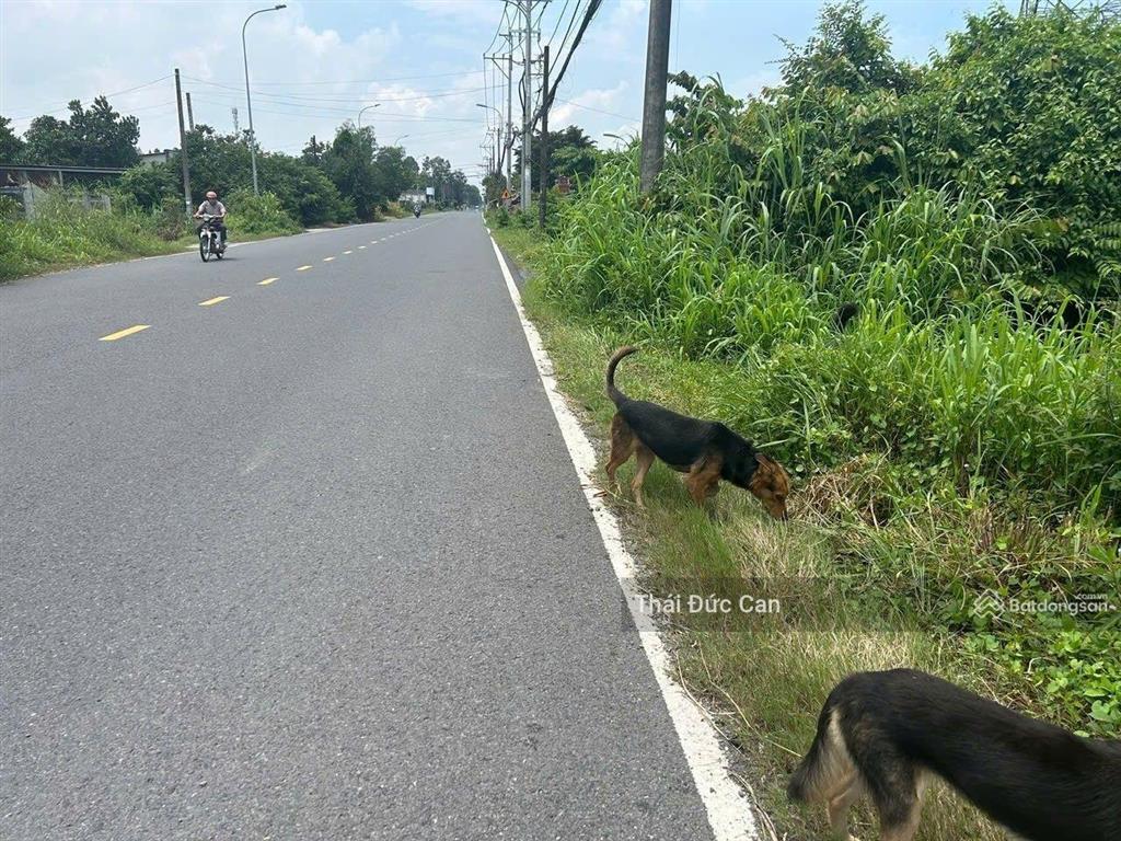 Mt nguyễn văn khạ dt=21x120m= 2.585m, có 900m thổ cư, giá chỉ 15 tỷ xã phú hòa đông, nối tỉnh lộ 15