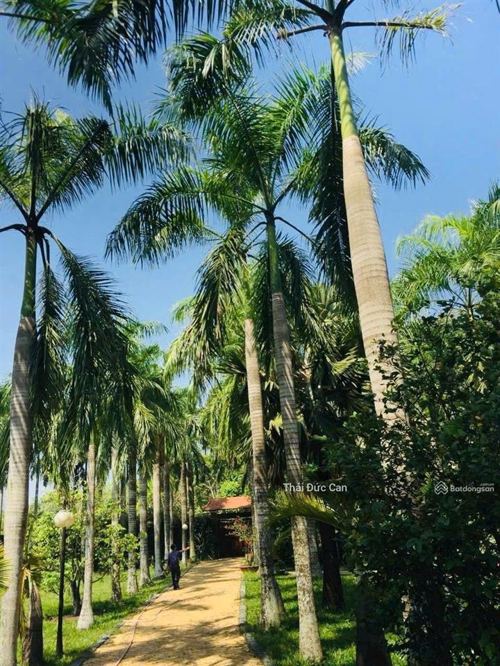 Biệt thự 4.000m², 700m² thổ cư, giá chỉ 17 tỷ. vị trí 1 sẹc nguyễn thị rành, xã nhuận đức