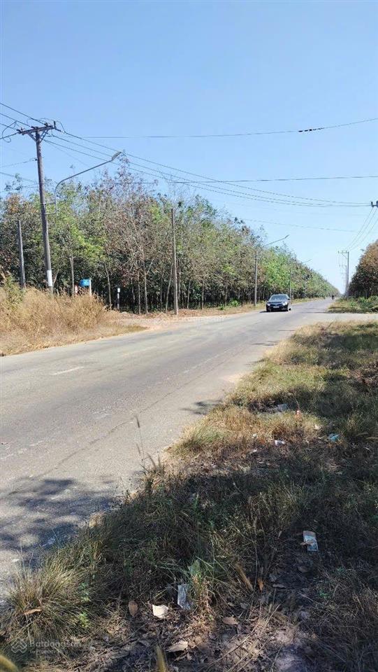 Bán đất mặt tiền đường lớn tại phường long nguyên