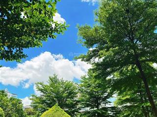 Cho thuê căn hộ 68 m2, 2 pn, 2 wc, có đầy đủ nội thất, 9 tr/th, cc dream home gò vấp