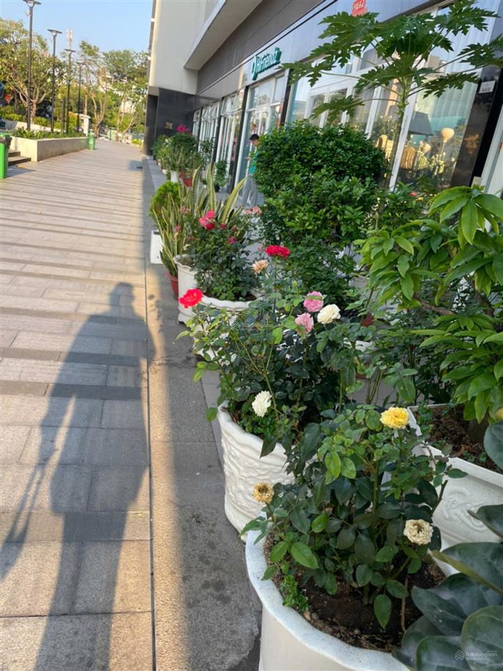 Vừa trống cho thuê ngay căn hộ office 1pn moonlight park view mặt tiền số 7 bình tân 9tr ở ngay