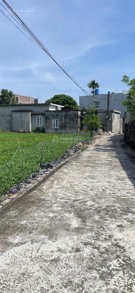 Bán đất nam hải, tiền hải, thái bình, hưng yên. 120m2 450 triệu
