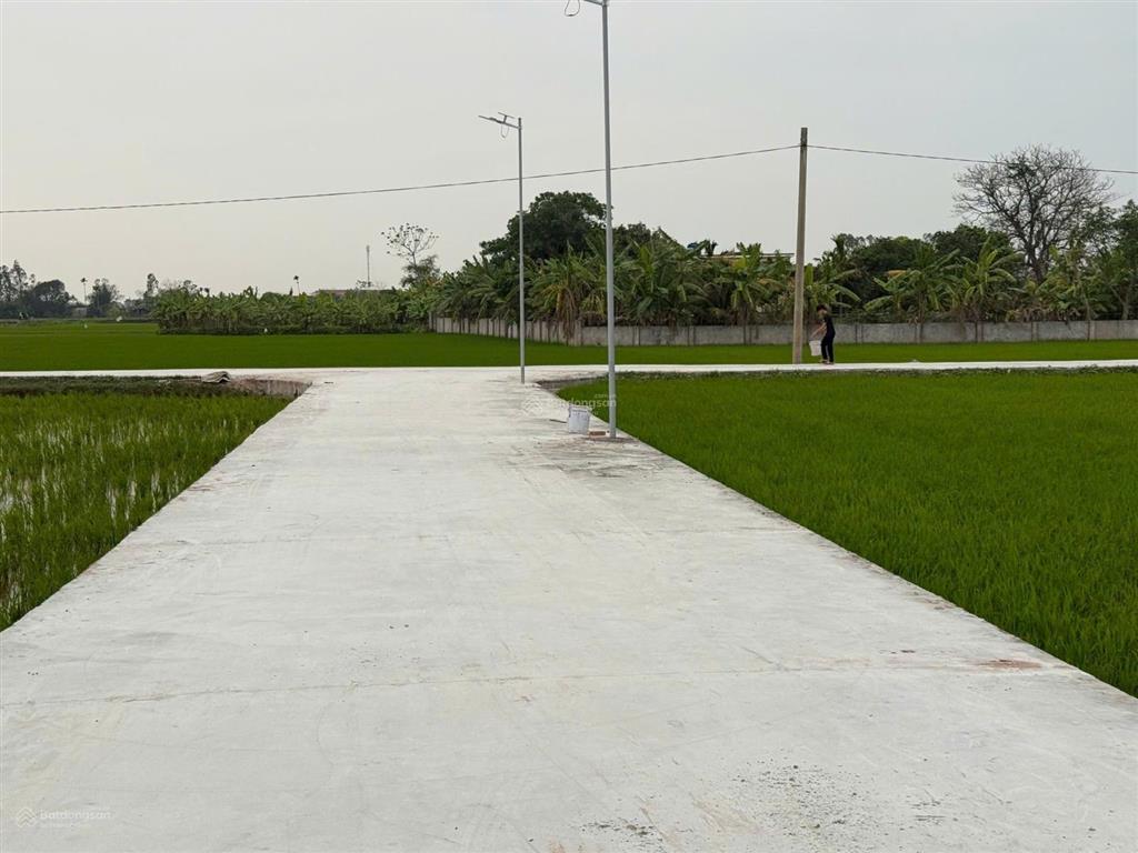 Bán đất 120m² tại thôn thiện tường, xã nam thịnh, huyện tiền hải, giá nhỉnh 5 trăm triệu