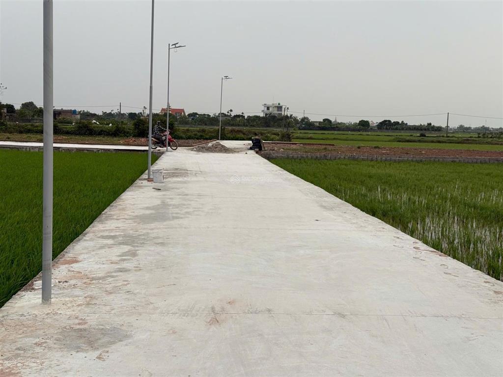Bán đất 120m² tại thôn thiện tường, xã nam thịnh, huyện tiền hải, giá nhỉnh 5 trăm triệu
