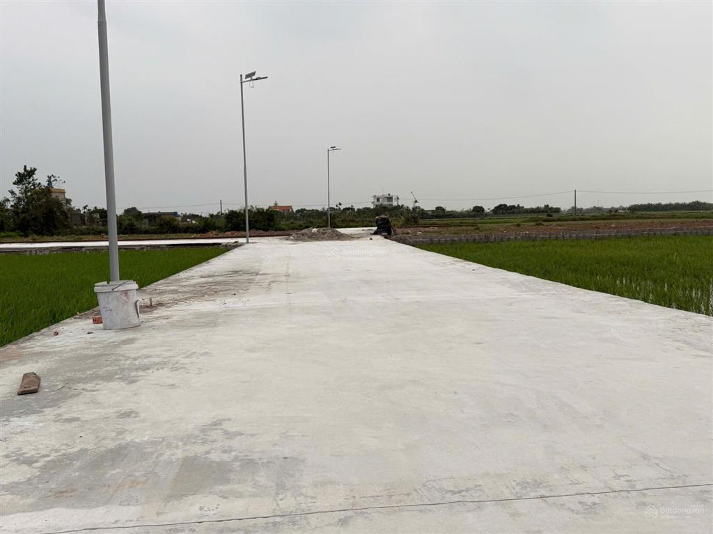 Bán đất 120m² tại thôn thiện tường, xã nam thịnh, huyện tiền hải, giá nhỉnh 5 trăm triệu