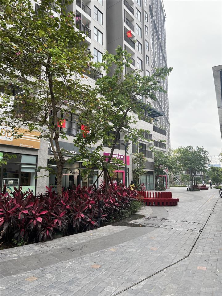 Bán căn chân đế oasis ecopark đang cho thuê, giá 14 tỷ