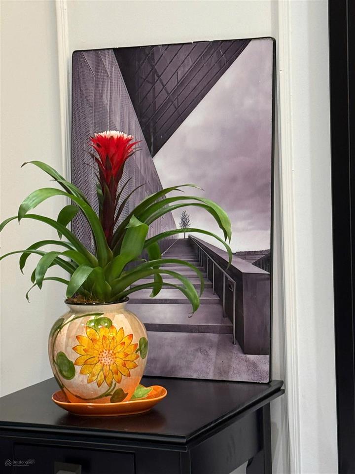 Bán penthouse đã hoàn thiện full nội thất toà onsen ecopark