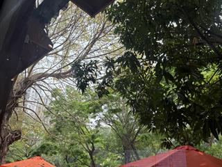 Bán biệt thự marina ecopark mặt lõi góc đẹp