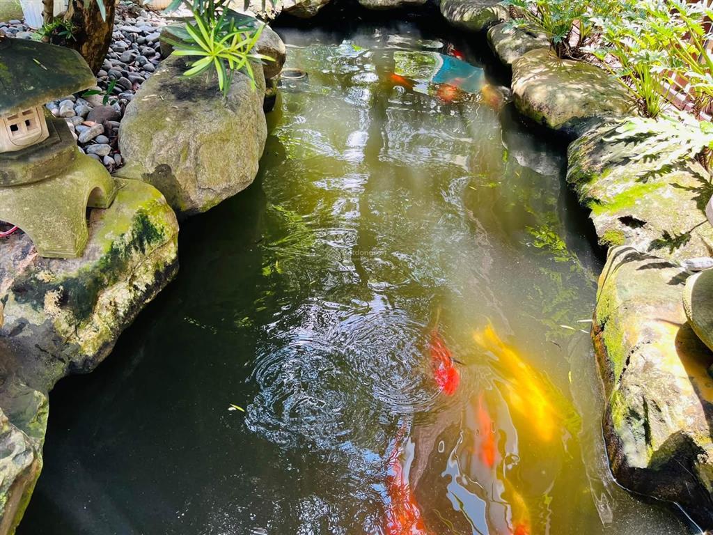 Bán biệt thự đơn lập vườn mai ecopark giá 54 tỷ, full đồ đẹp