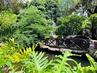 Bán biệt thự đơn lập vườn mai ecopark giá 54 tỷ, full đồ đẹp