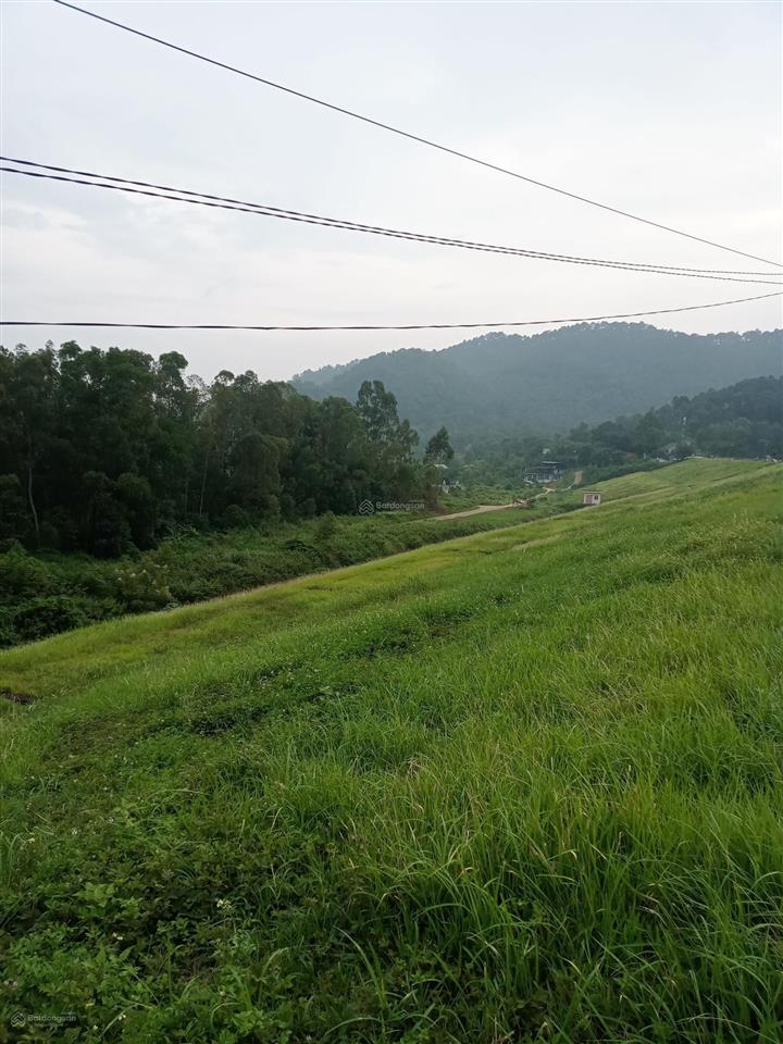 Bán 500 m2, mặt đường quốc lộ 14 thôn phú thịnh xã minh phú sóc sơn hà nội