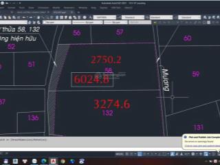 Chính chủ bán 6024m2 đất mặt tiền tx31 phường thới an, tp.hcm (sau sáp nhập)