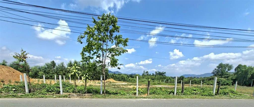 Cho thuê khu đất hơn 4.000m² gồm nhà mới xây, 1.200m² đất bằng phẳng và ao cá 2.300m² tại hòa nhơn