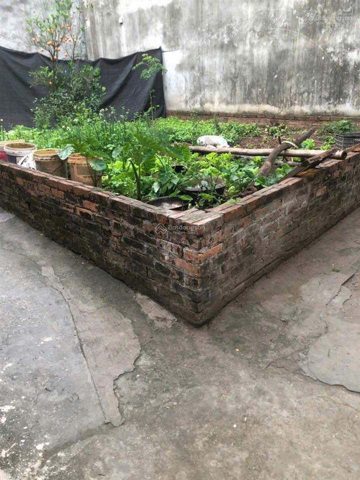 Chính chủ bán đất gần tượng đài phùng lô góc ô tô đỗ cửa, 60m2 mt 6 m chỉ khoảng 50 m ra đường 21 m