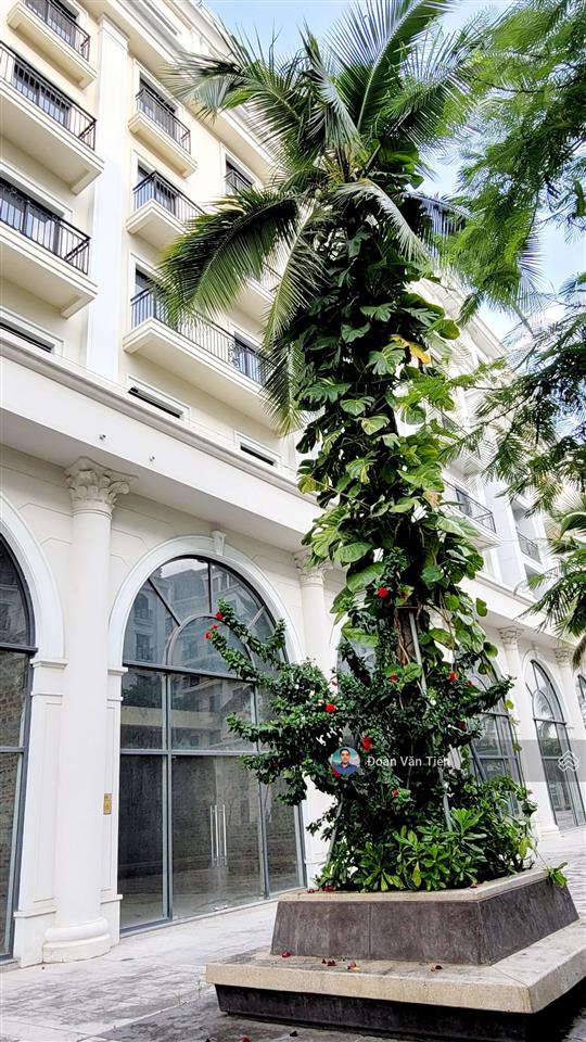 Marina square. bán cặp 2 căn 364m2mt 13m giá 19.5 tỷ/ căn