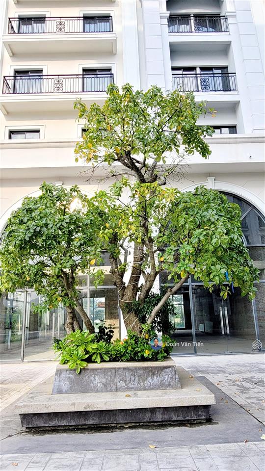 Marina square. bán cặp 2 căn 364m2mt 13m giá 19.5 tỷ/ căn