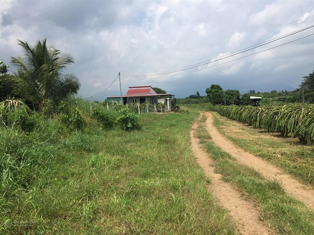 Bán đất xã hàm kiệm tỉnh lâm đồng