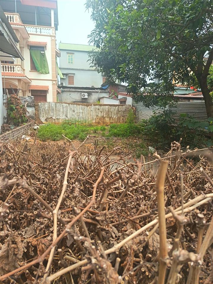 70m2 ô tô đỗ cửa , view sông tại thạch thất giá chỉ 2,15 tỷ  0962 783 ***