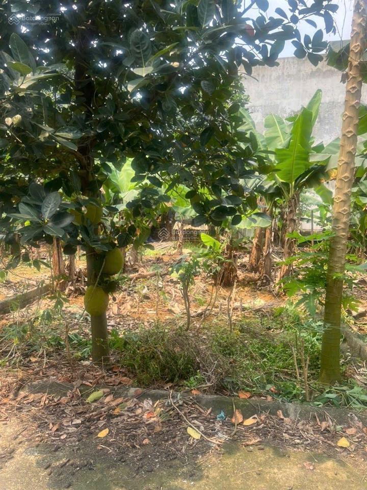 Còn duy nhất 1 lô chỉ 1,7 tỷ . 61.5m2 full thổ cư tại hòa lạc.  0962 783 ***