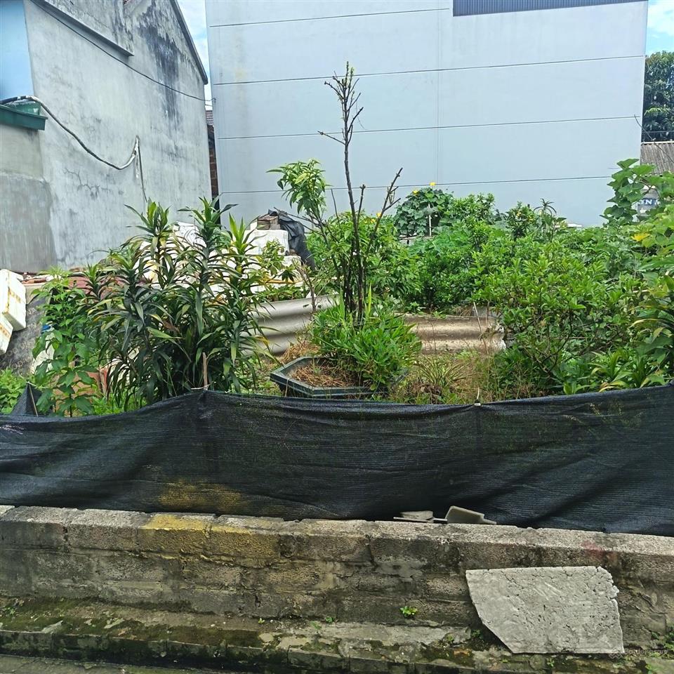 100,4m2 full thổ cư, ngõ thông, gần đại lộ thăng long tại đồng trúc, thạch thất