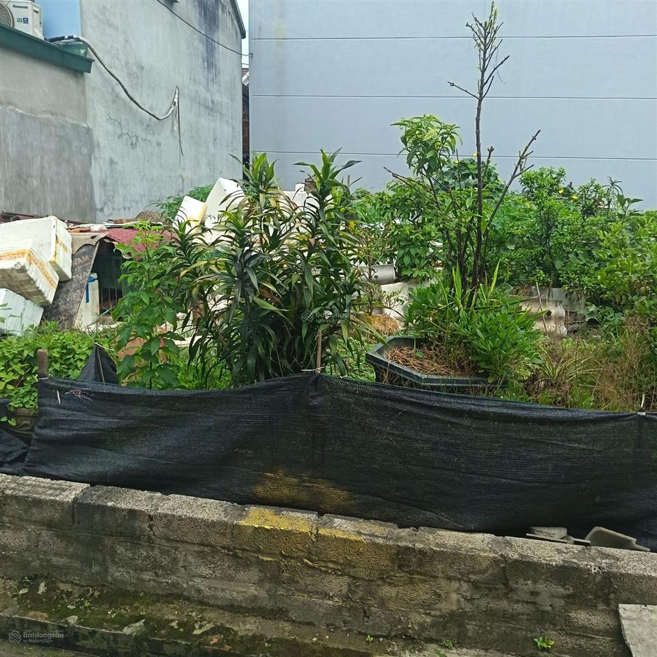 100,4m2 full thổ cư, ngõ thông, gần đại lộ thăng long tại đồng trúc, thạch thất