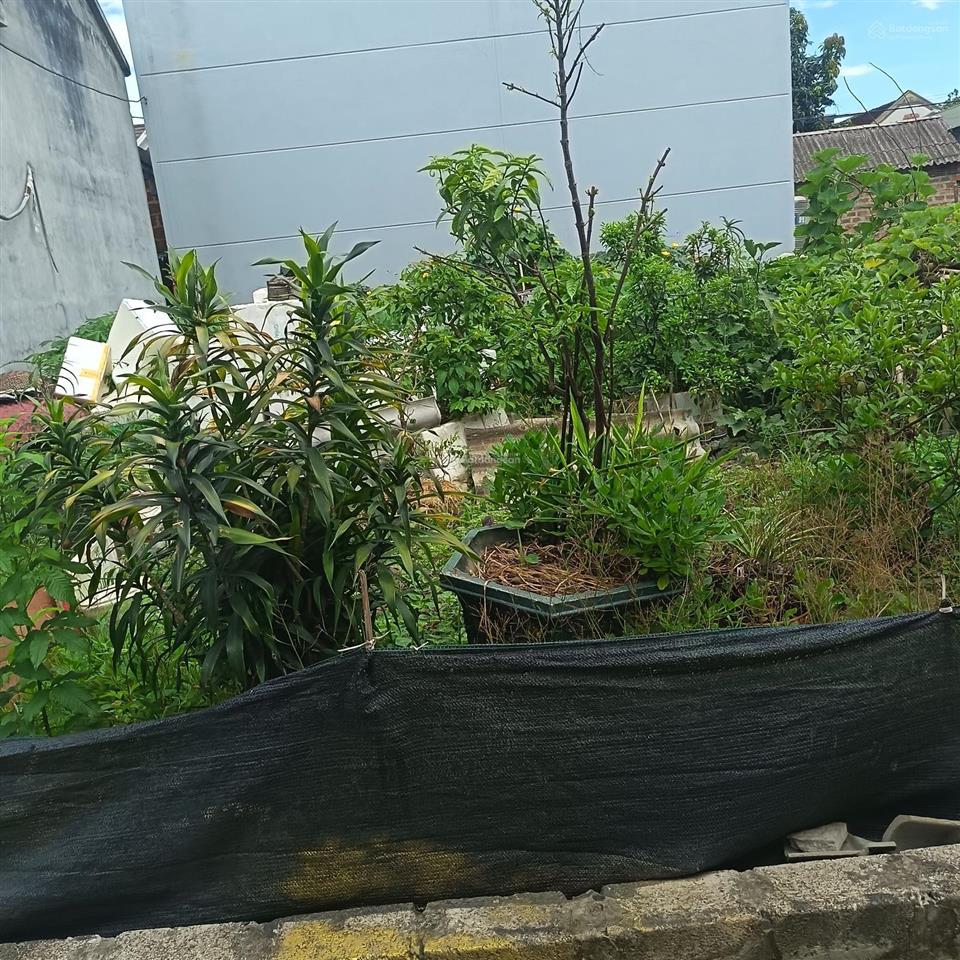 100,4m2 full thổ cư, ngõ thông, gần đại lộ thăng long tại đồng trúc, thạch thất
