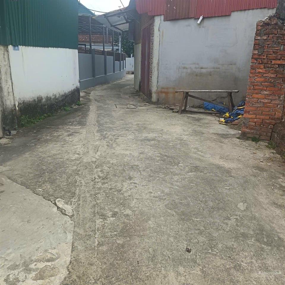 251m2 full thổ cư tại phú kim, thạch thất, bán gấp chỉ 4,5 tỷ.  0962 783 ***