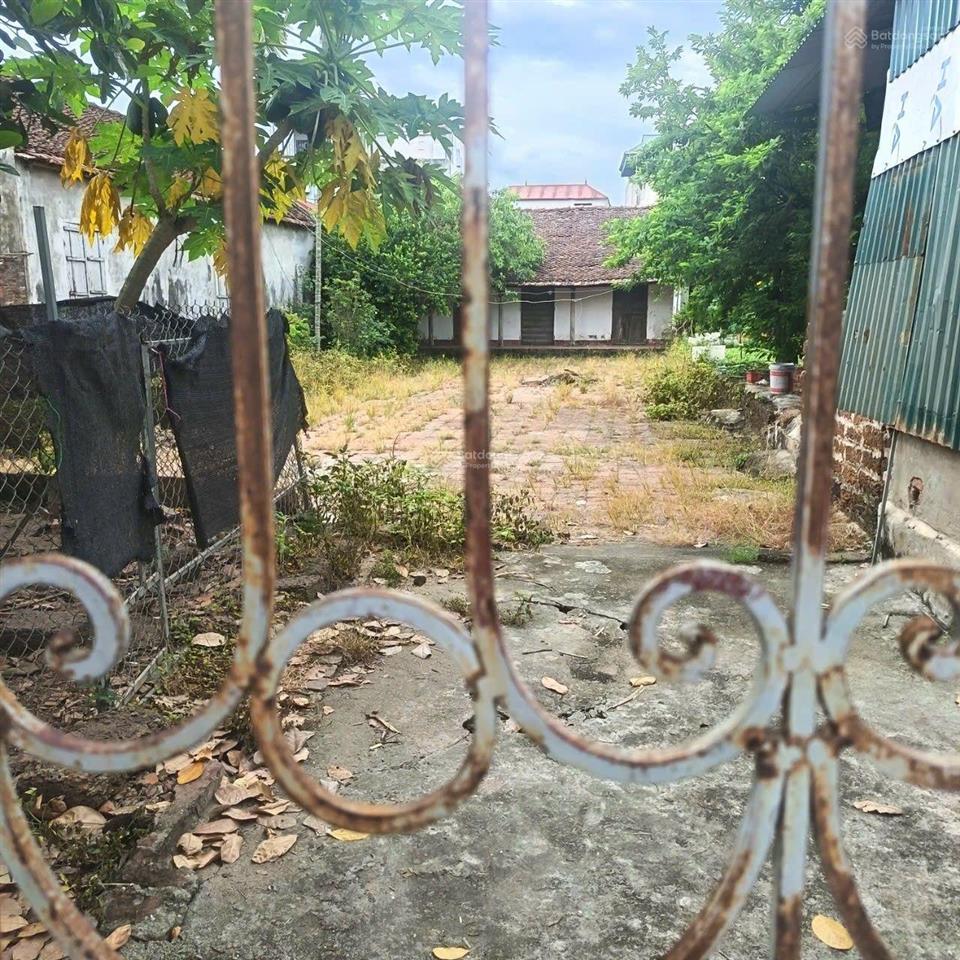 251m2 full thổ cư tại phú kim, thạch thất, bán gấp chỉ 4,5 tỷ.  0962 783 ***