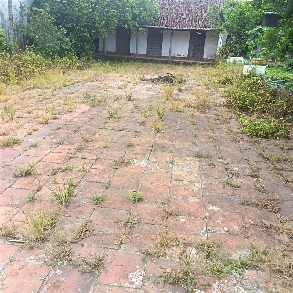 251m2 full thổ cư tại phú kim , thạch thất, bán gấp chỉ 4,5 tỷ . 0962 783 ***