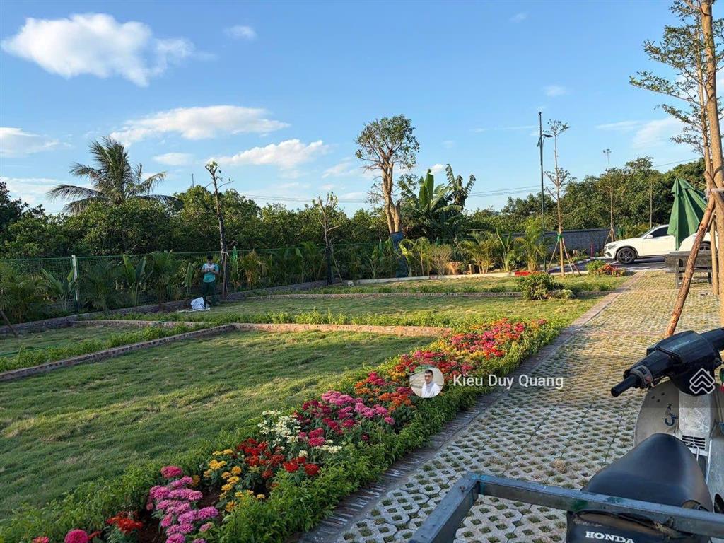 Khu phân lô sát vách đại học quốc gia xây chung cư mini siêu đẹp 100m2 giá chỉ hơn 5 tỷ