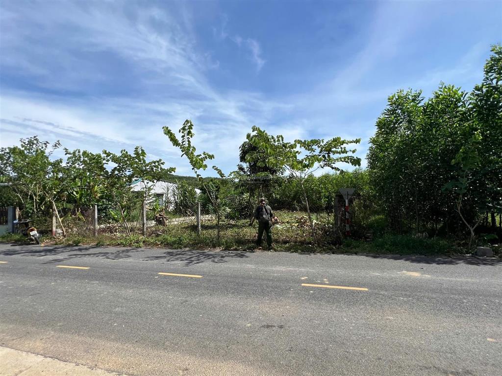 Bán đất biệt thự thôn nam thành, xã hòa vang, tp đà nẵng. diện tích 276 m2 ngang 13,6 m. đất ở 100%