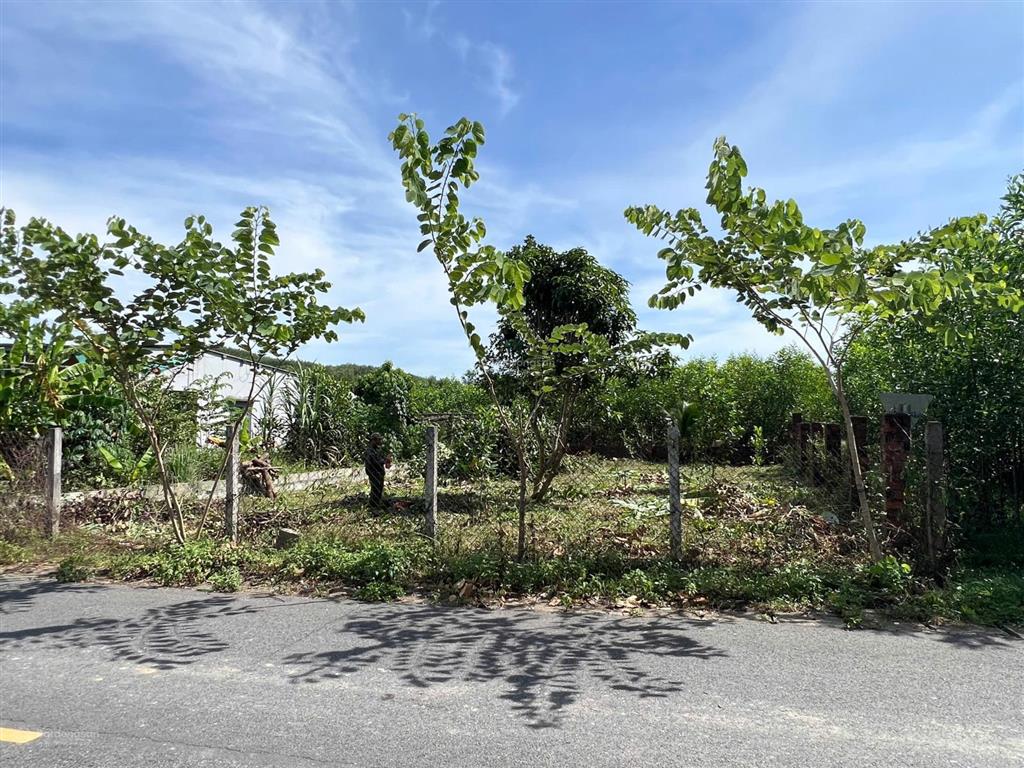 Bán đất biệt thự thôn nam thành, xã hòa vang, tp đà nẵng. diện tích 276 m2 ngang 13,6 m. đất ở 100%