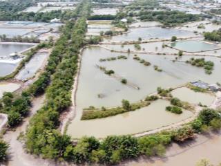 Chính chủ cần bán gấp đất nuôi trồng thủy sản tại duyên hải, trà vinh  pháp lý đầy đủ