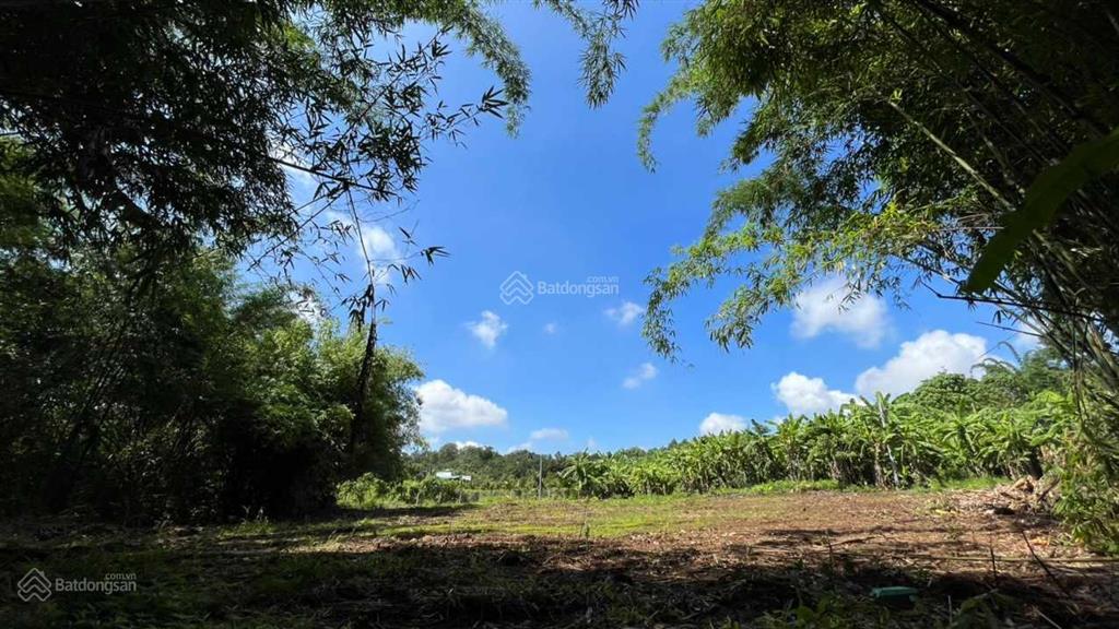 Chính chủ cần bán gấp 4904,2m2 đất tại suối tre, suối bao bọc xung quanh, cách bv đa khoa 2,5km